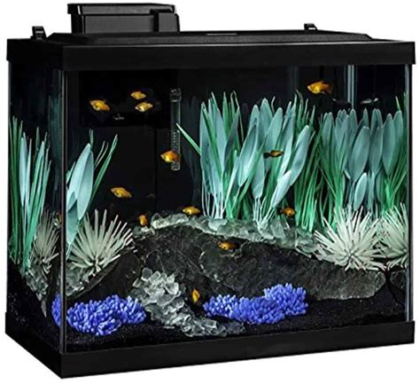 20 gallon acrylic aquarium|20 gallon acrylic aquarium kit.